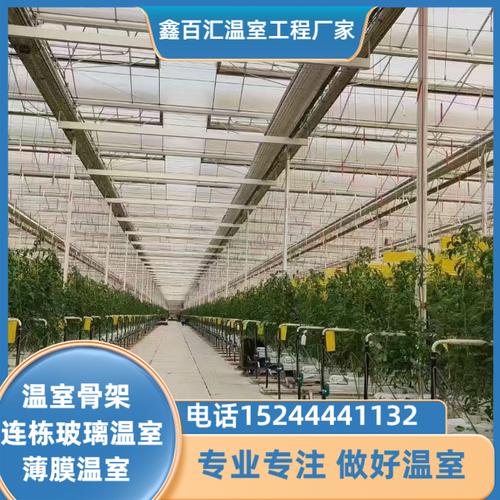大棚厂家_鑫百汇温室工程服务开封鼓楼|祥符|兰考|顺河回族|杞县(更新