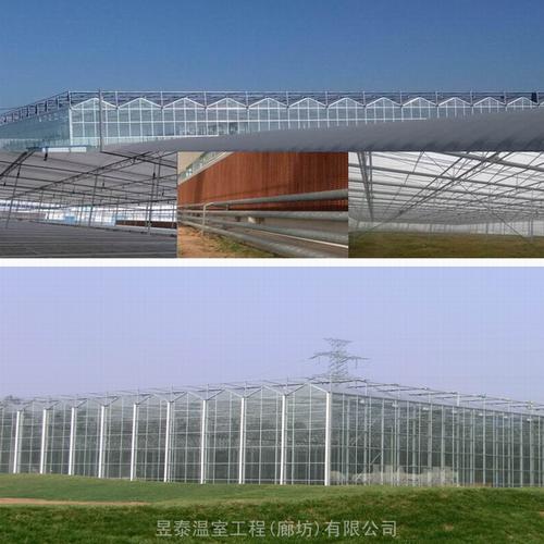 河北廊坊企业信息已认证蔬菜花卉育苗大棚玻璃