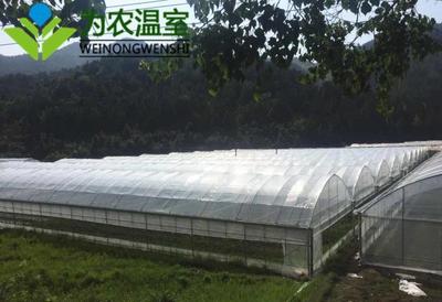 常州连栋智能温室建设