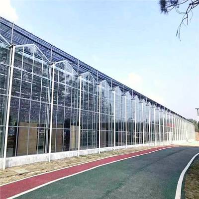 智能温室玻璃大棚 智能纹络型温室大棚 智能温室玻璃温室承建