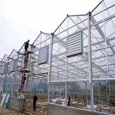 智能温室玻璃大棚 智能纹络型温室大棚 智能温室玻璃温室承建