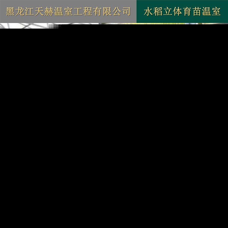 双氧浸种催芽基地水稻工厂化育秧中心 温室大棚设备